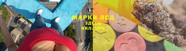 прущие грибы Пестово