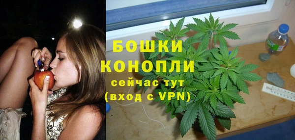 трава Осташков