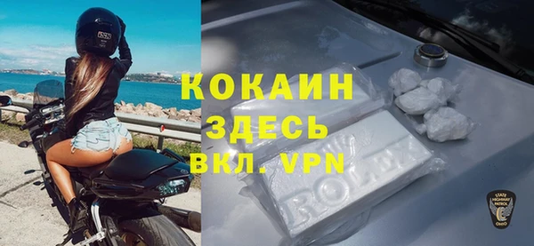 прущие грибы Пестово
