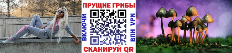 Купить закладки  Колпашево  Галлюциногенные грибы мицелий 